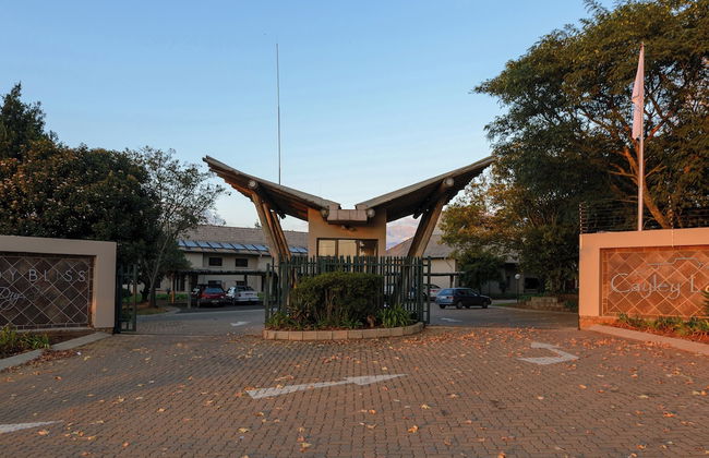 Cayley Mountain Resort - Foto 2