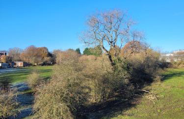 Golden Valley View - Foto 16