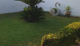 Garden House - Foto 3