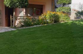 Morus Guesthouse - Foto 8