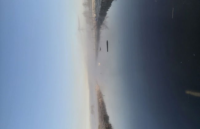 Ruyge Weyde Logies -The Farmer's Daughter - Photo 28