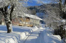 Ferienpark Oberallgäu - FeWo "Klatschmohn" Hallenbad & Sauna & WLAN - Foto 64