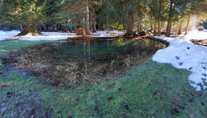 Ahrs Creek Retreat In the Timber - Foto 3