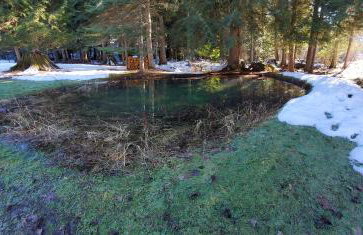 Ahrs Creek Retreat In the Timber - Foto 3