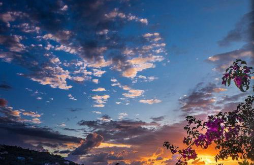 Flai Home - Photo 41