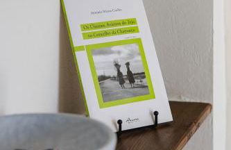 Casa Maria Avieira - Foto 42