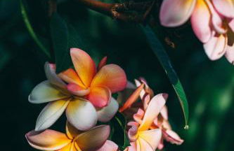 Hotel Rural La Casa Amarilla - Foto 28