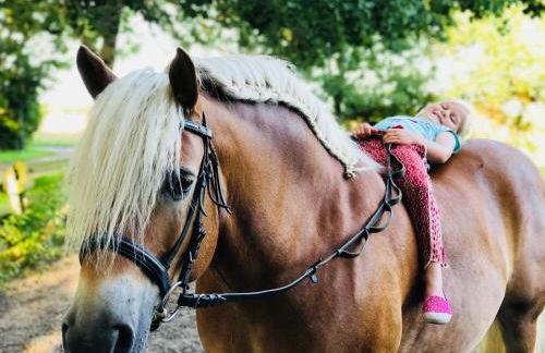 Ferienhof Utech - Foto 8