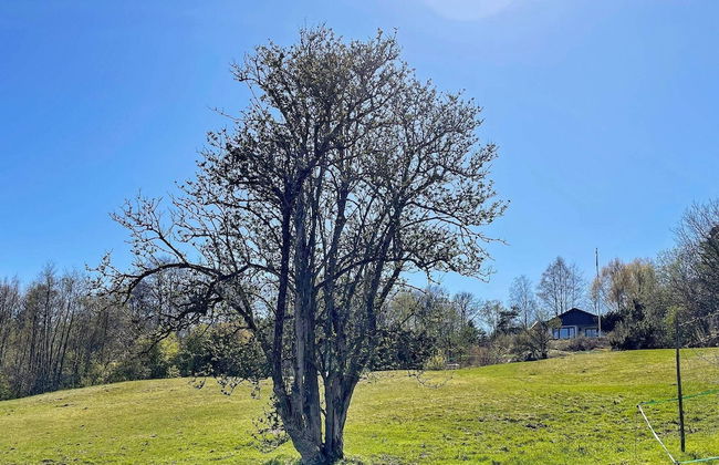 5 Person Holiday Home in Stillingson-by Traum - Foto 19