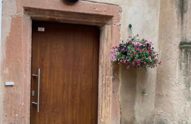 Logement de charme dans un monument historique daté de 1544, au centre de Haguenau - Photo 9