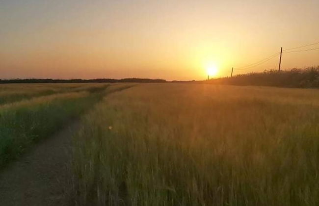 Tregantle Farm Eco Glampsite Super Safari Cabin - Foto 10
