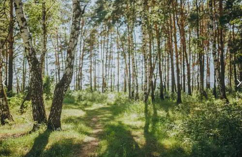 Huge Cabin w Hot Tub, Deck, Grill, Fire Pit, WiFi - Foto 74