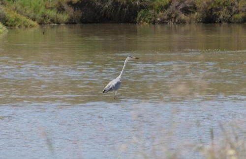 Casa as Origens - Foto 29