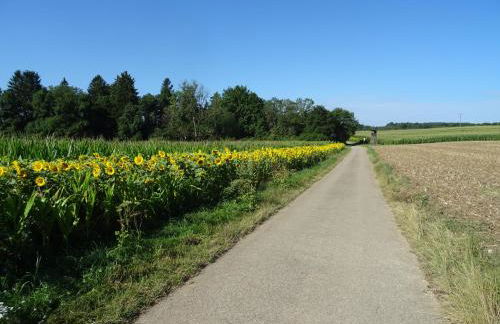 Turm im Blick - Foto 19
