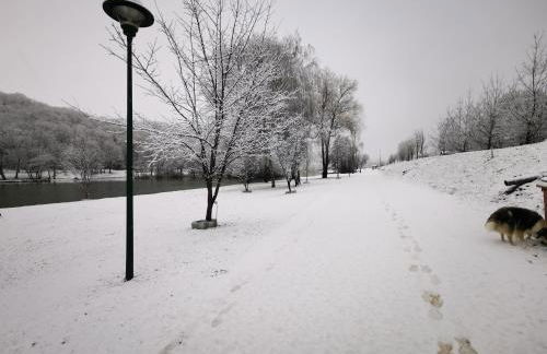 Studio cosy 32m2 independant dans maison - Foto 12