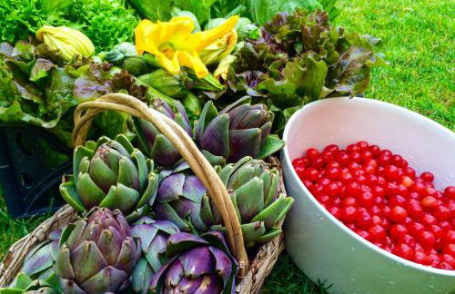 AGRITURISMO CASA OLIVIERI - Foto 31