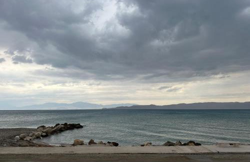 Asaminthos - Foto 27