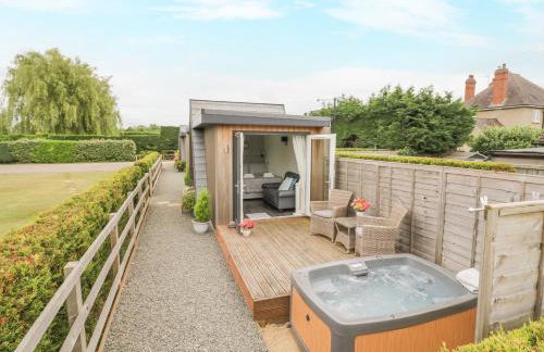 Alstroemeria - Photo 12