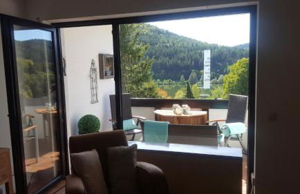 Ferienwohnung Zeitlos, gigantischer Seeblick, WLAN, gerne mit Hund - Foto 2