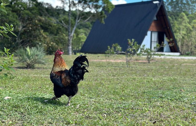 Guiados Pelo Alto - Foto 15