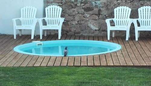 Casa Vitorino's - Foto 3