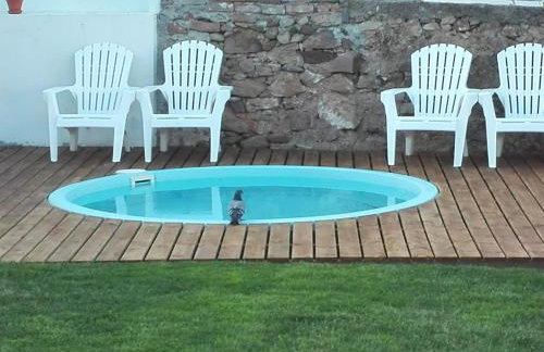 Casa Vitorino's - Foto 3