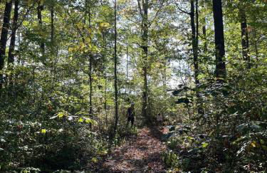 The Briar House - Foto 29