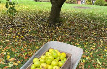 Tranquil Countryside Cottage near Loughborough - Foto 48