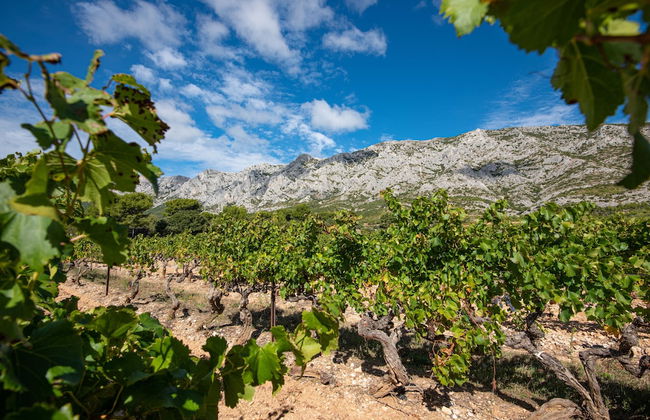 Comfort Aparthotel Aix Le Tholonet - Foto 14