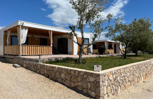 Vila Olson - Holiday Village Twins - Photo 3