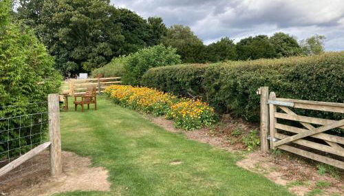 The Ashmere Tiny House - Foto 5, Garden