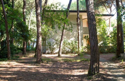 Terrace home by the pinewood - Foto 15