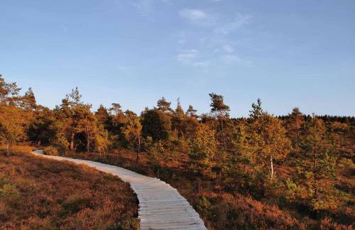 Ferienwohnung Rhön (Er) Leben - Foto 24