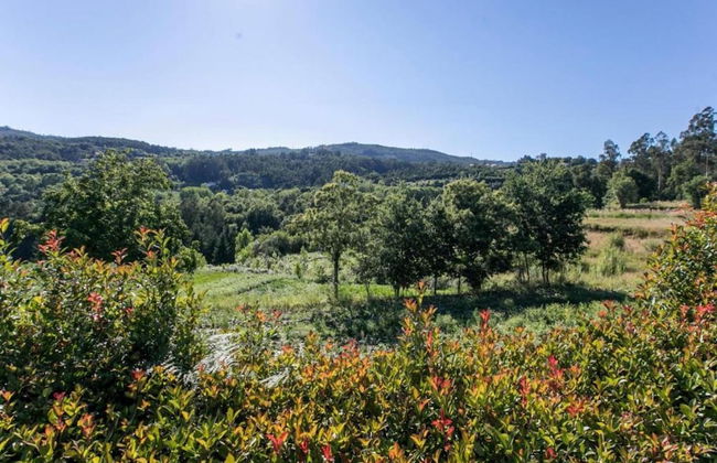 Forest Hideaway Near Douro Valley - Foto 24