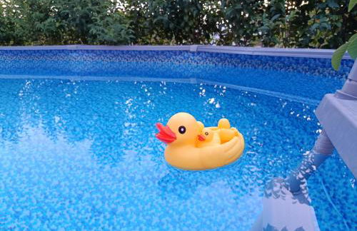 Beautiful nearby beach house with garden, private pool and large yard - Foto 5