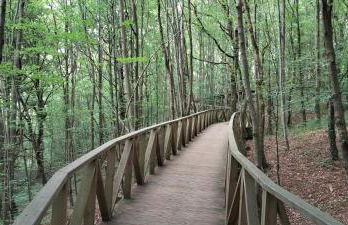 El Mirador de La Hayuela, a 7 min de Comillas - Photo 23