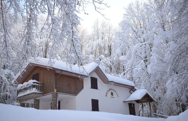 Chalet Il Cristallo - Photo 37
