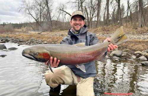 House on the Camas Prairie (in town) - Foto 25