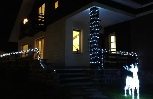 I tulipani - Foto 43