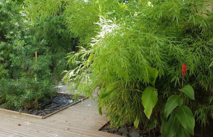 La Maison d'Alys - Le Cagnard - Foto 26