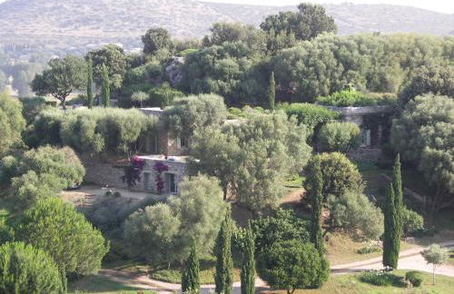 Domaine Panciarella - Foto 25