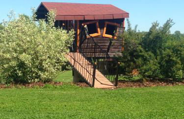 Ferienwohnung Braun - Foto 13