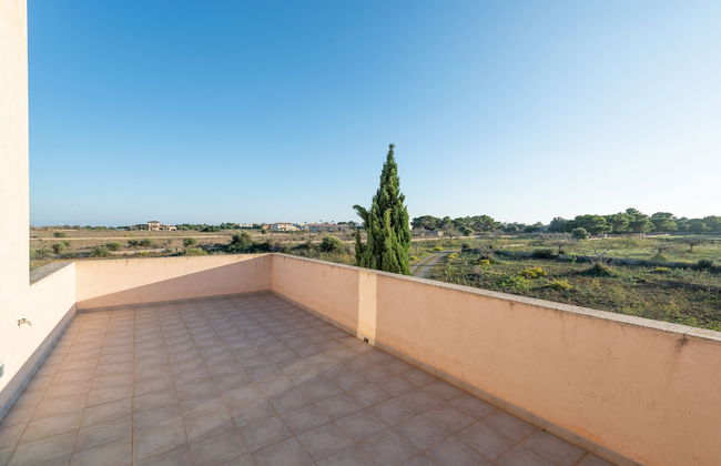 Sa Carrotja in Mallorca - Foto 29