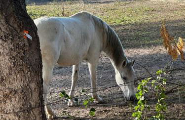Tiny Private Room #3 in Shared 5BR House with Other Guests - Foto 22