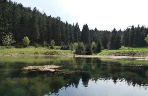 Lauschablick FeWo Thüringen - Foto 27