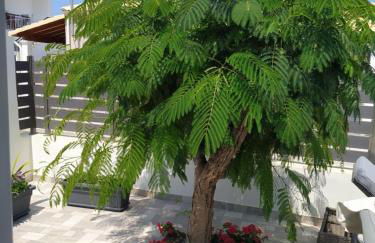 Drosoula House - Foto 3