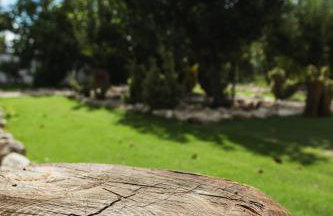 Chitaka's Organic Farmhouse in Ribatejo - Photo 58