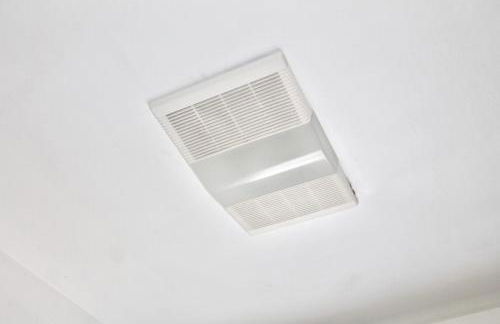 Los Angeles Red Rose - Foto 33