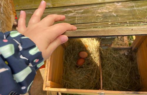 Spacious Cottage - Sleeps 4 - in the Black Mountains - Photo 42