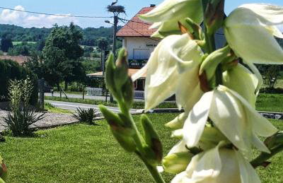 Apartman Lena - Foto 37